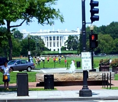 New York,Phili,WAS 231