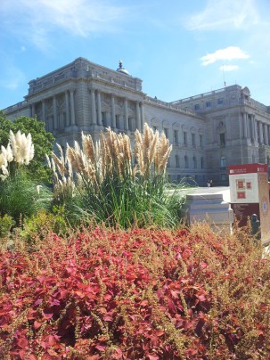 New York,Phili,WAS 382